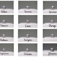 Perles Acier Zodiaque