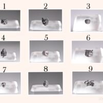 Perles Acier Animaux