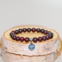 bracelet iron blood